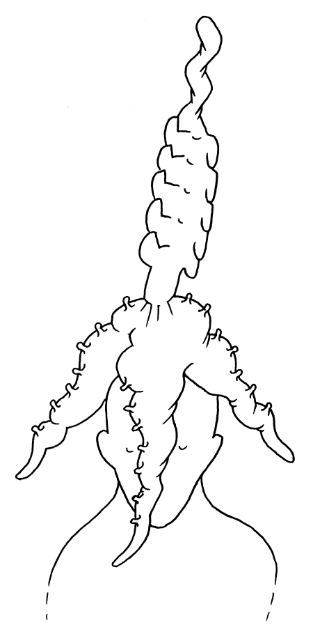 crane