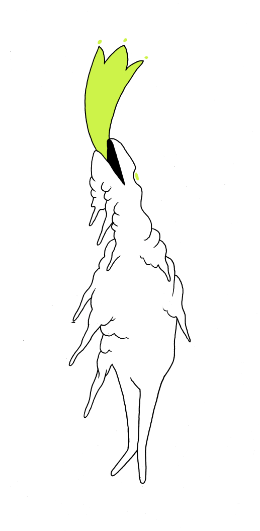lui