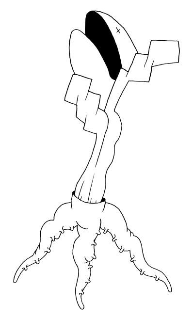 eclosu