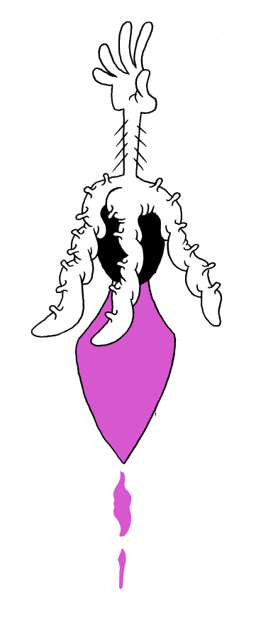 natasha.png