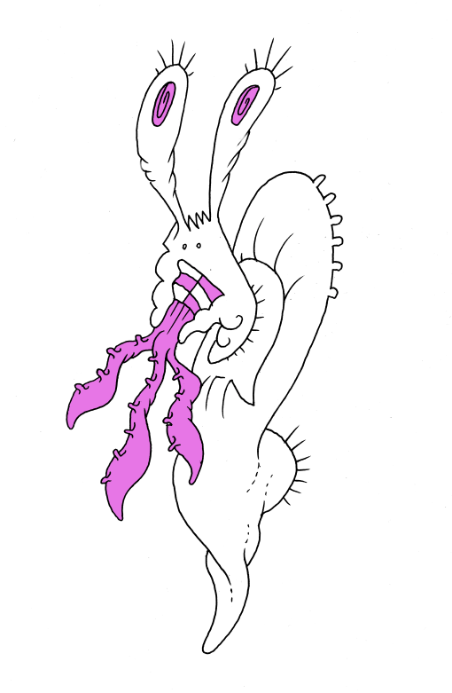 sponge.png