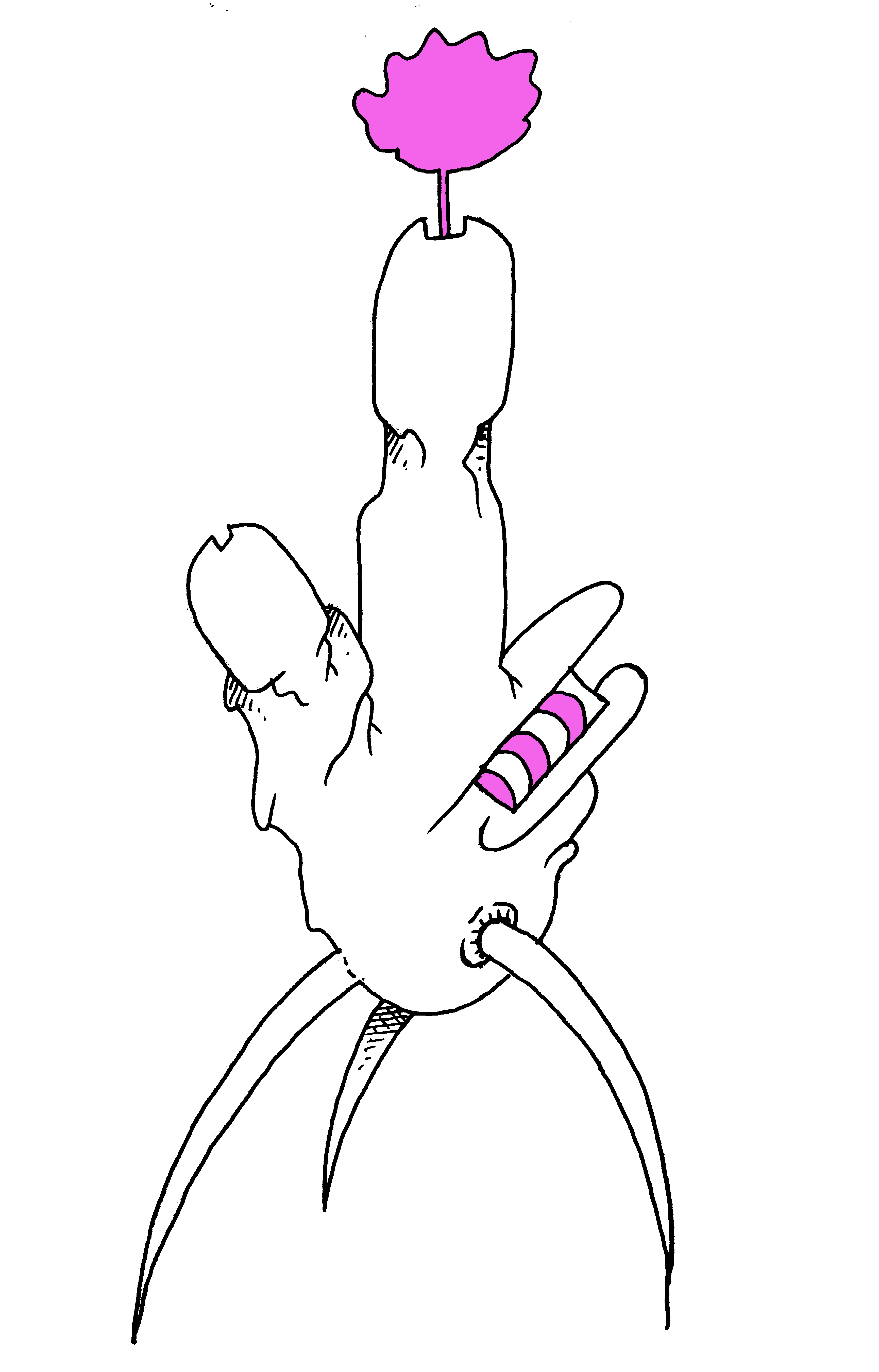 brosse-a-dents.png