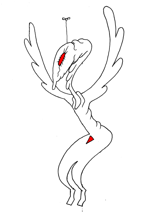 lenvol